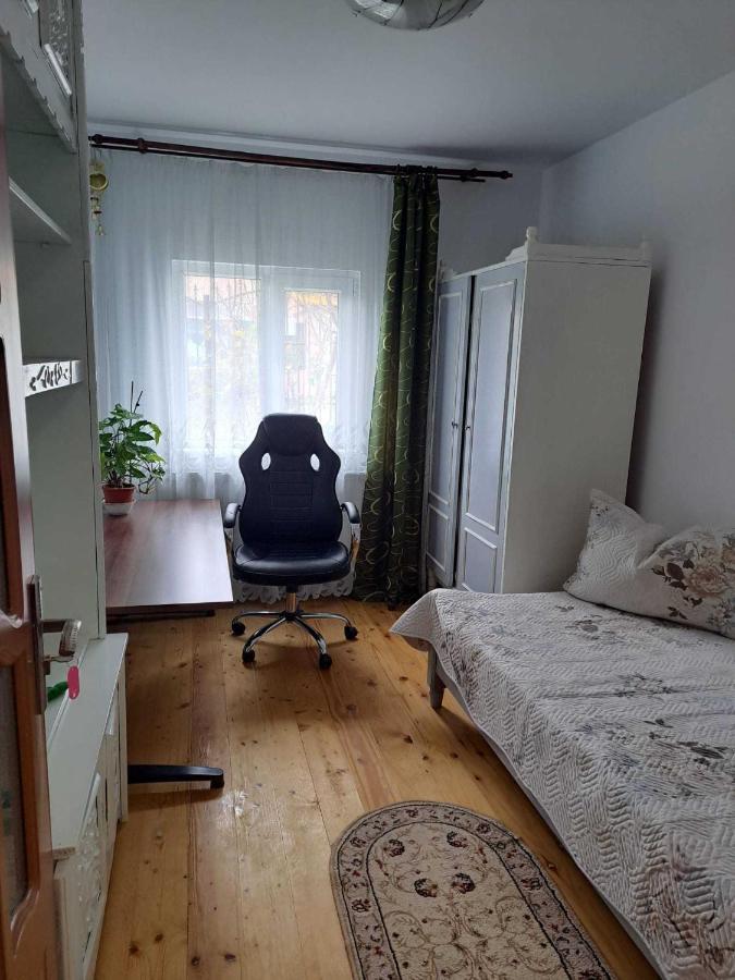 Năvodari Muzicii 11 - Cozy Seaside Apartments מראה חיצוני תמונה