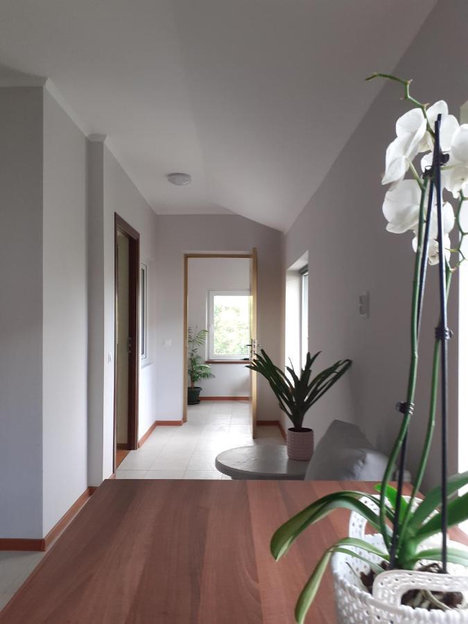 Năvodari Muzicii 11 - Cozy Seaside Apartments מראה חיצוני תמונה
