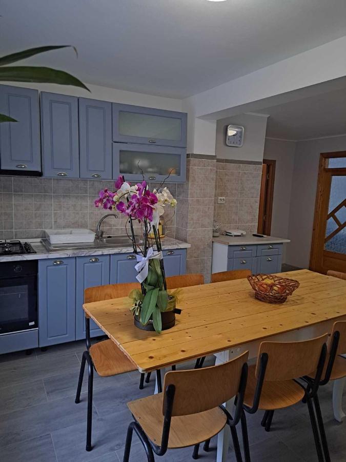 Năvodari Muzicii 11 - Cozy Seaside Apartments מראה חיצוני תמונה